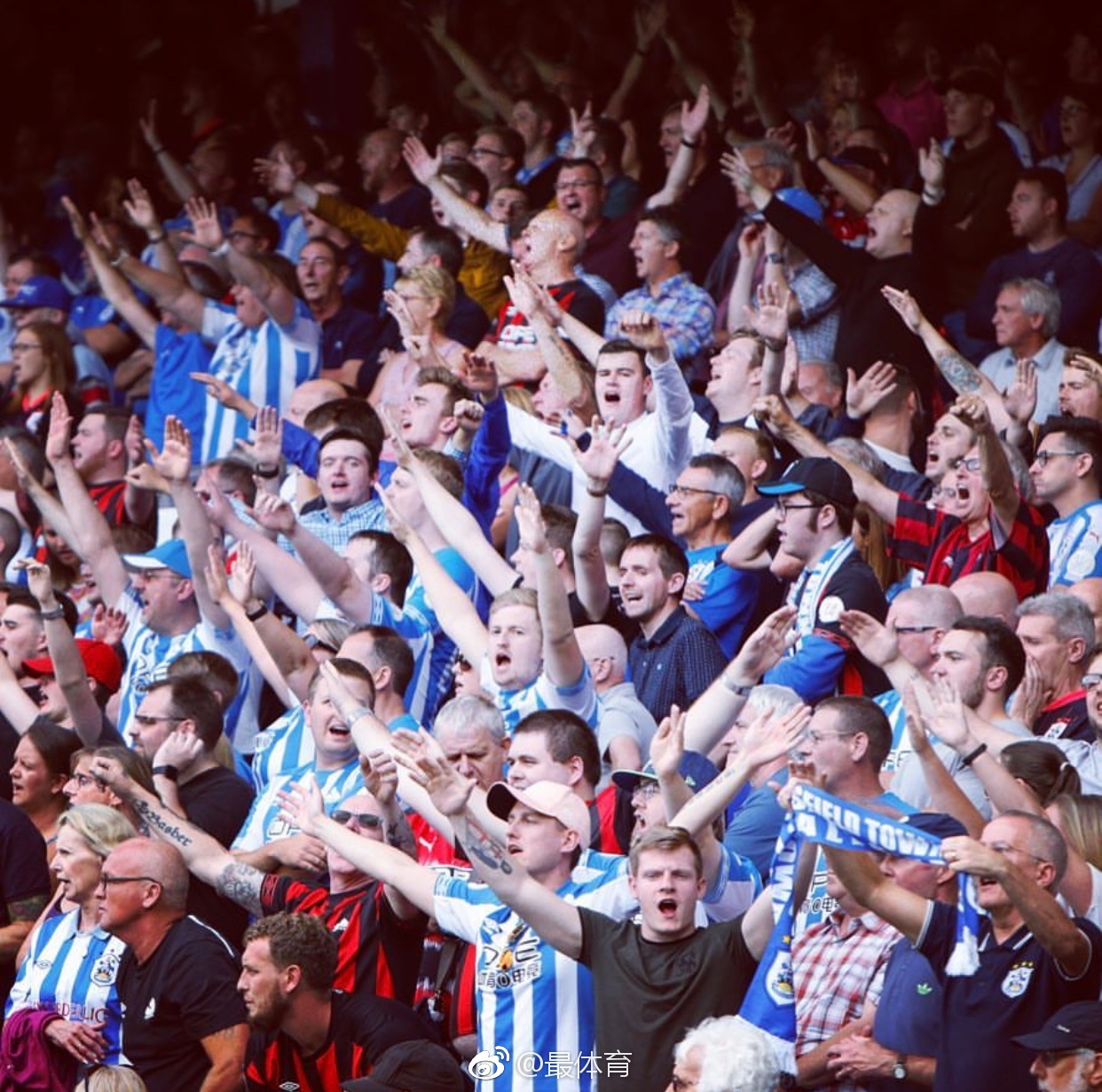 狼熊大战影 狼熊大战影