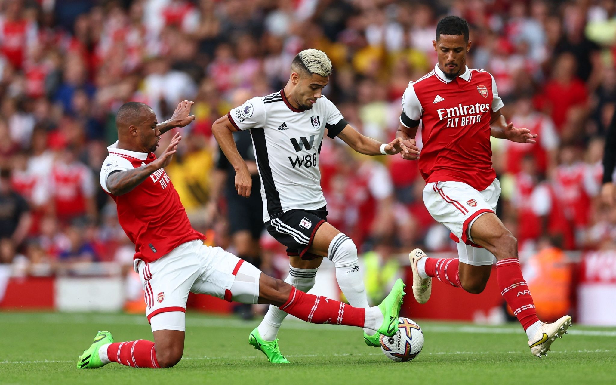 详细的赛程 详细的赛程